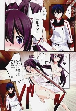 Page 4 of Burst Up! Infinite Stratos FAN BOOK