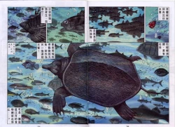 Page 268 of 聊齋-艷女幽魂