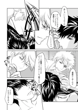 Page 13 of Seikou Houshuu