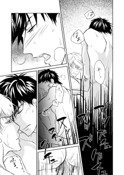 Page 18 of Seikou Houshuu