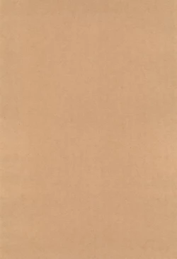 Page 4 of Hiyake ga Ki ninaru Sensei ga