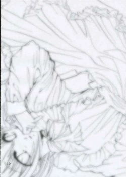 Page 29 of Moonlight and The Rondo of The Shadow