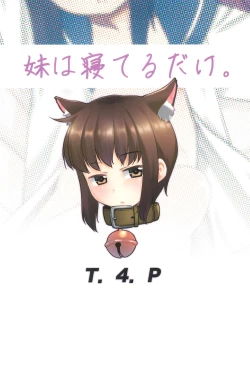 Page 28 of Imouto wa Neteru dake.