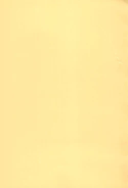 Page 3 of LOVELY CHERRY