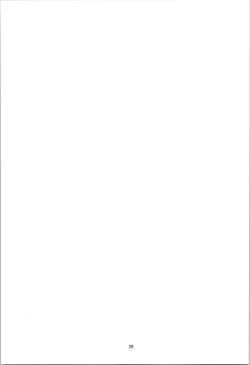 Page 28 of Akazawa Solution I