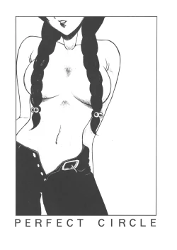 Page 2 of PERFECT CIRCLE