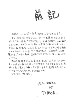 Page 3 of PERFECT CIRCLE