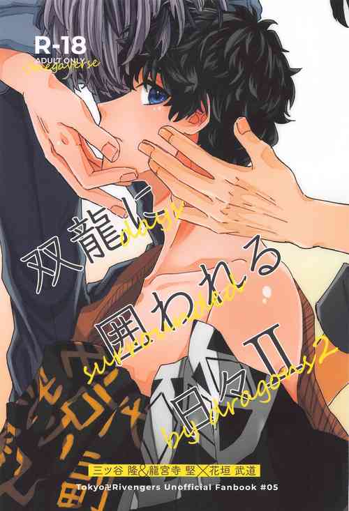 Download Souryuu ni Kakowareru Hibi II -  days surrounded by dragons 2