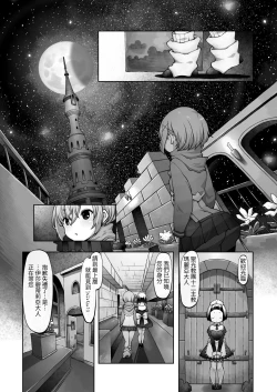 Page 94 of Mareinu Oukoku no Midarana Nichijou