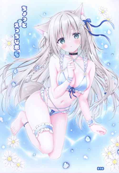 Download Chotto Ecchi na Hon 5