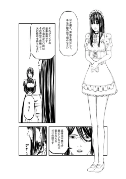 Page 11 of M.A.I.D.S System