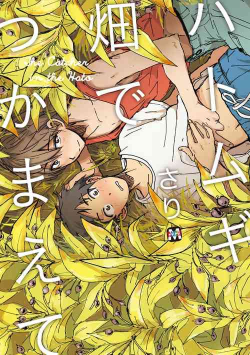 Download Hatomugi Batake de Tsukamaete - The Catcher in the Hato