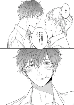 Page 109 of Itsuka Koi ni Naru Made Ge