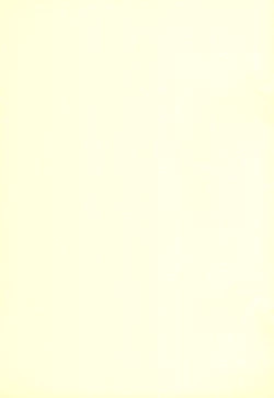 Page 11 of Korosounya