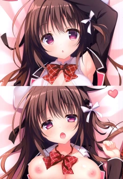 Page 14 of nemophila