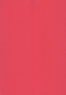 Page 21 of Onna no ko da mon!