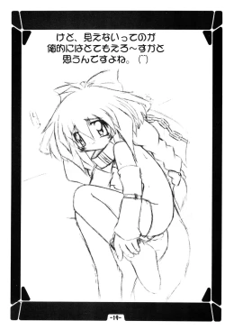 Page 21 of Hinaya Tsuushinbo DX Vol.1