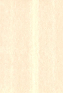 Page 4 of Hinaya Tsuushinbo DX Vol.1