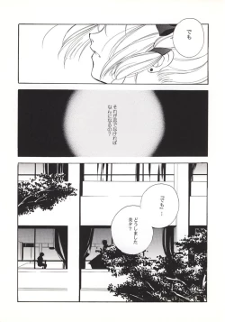 Page 19 of Vampire Princess Miyu Kahitsu Kaitei-ban