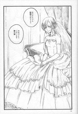 Page 28 of Anemone coronaria