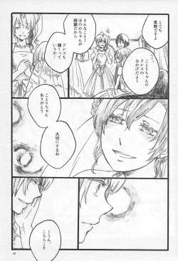 Page 29 of Anemone coronaria