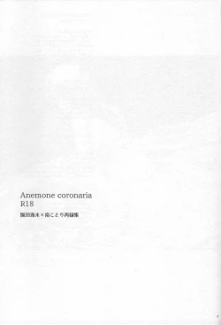 Page 2 of Anemone coronaria