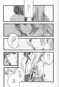 Page 44 of Anemone coronaria