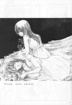 Page 4 of Anemone coronaria