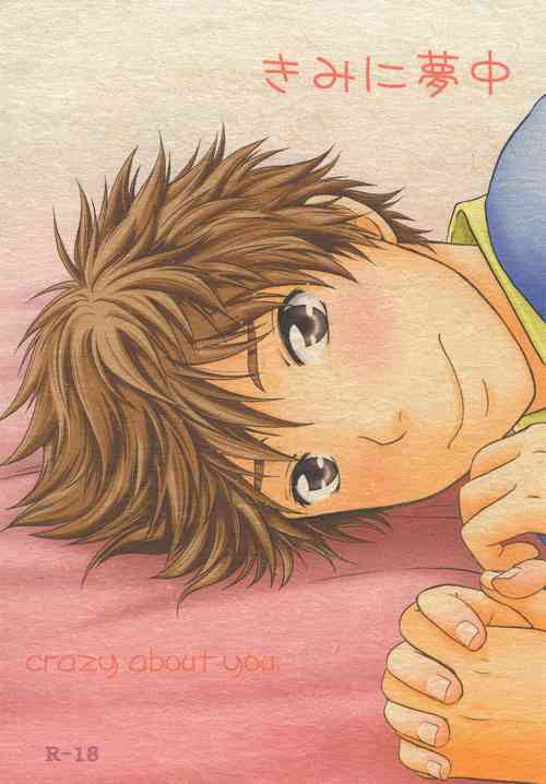 Download Kimi ni Muchuu