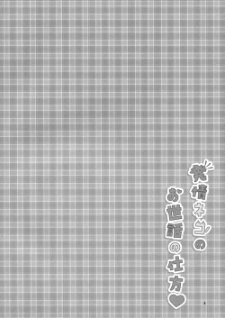 Page 3 of Hatsujou Neko no Osewa no Shikata