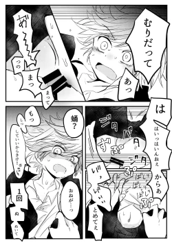 Page 18 of Karakomori Beetle