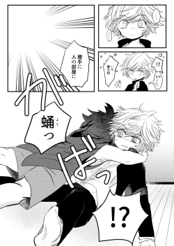 Page 9 of Karakomori Beetle