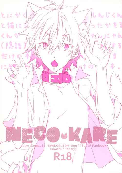 Download NECOKARE