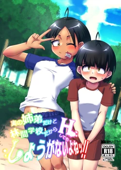 Page 1 of Jitsu no Kyoudai Dakedo Rinkan Gakkou Dakara H Shite mo Shouganai Yo Nee