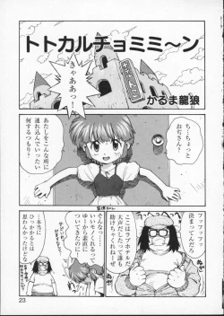 Page 27 of Viper V-2