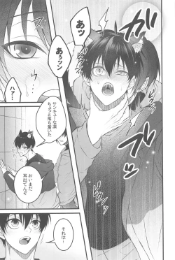 Page 16 of RINISA VARIETY PACK