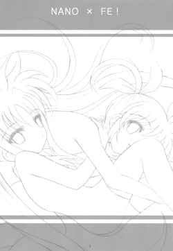 Page 2 of Nano X Fe!