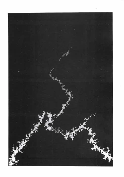 Page 10 of 18 ONE-EIGHT