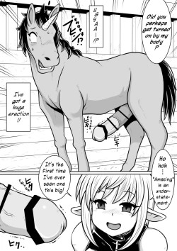 Page 20 of Tensei shitara Futanari Uma ni Narimashita Zenpen | Reincarnated as a Futanari Horse First Part