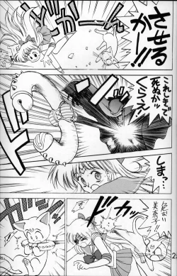 Page 24 of Submission Venus