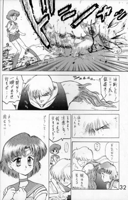 Page 31 of Submission Venus