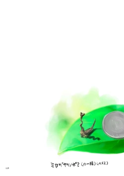 Page 158 of Fujicolor