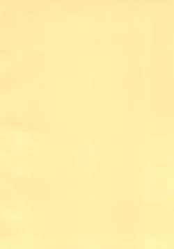 Page 4 of Neya no Majo