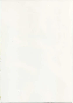 Page 31 of Netorare Alice