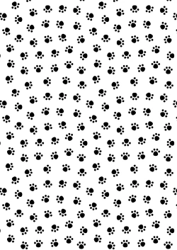 Page 31 of Gokou Hore Wanwan