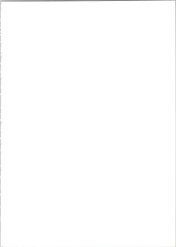 Page 2 of MODEL SPECIAL