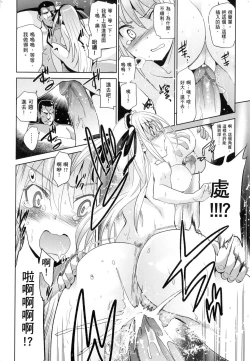 Page 204 of HimeFallen Princesses | 蹂躪公主