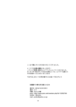 Page 30 of Koumakan de Daiji na Tokoro o Kerareru Hon | A book about getting kicked in important parts at the Scarlet Devil Mansion