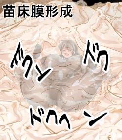 Page 67 of Naedoko ni Sare Haramu Heroine-tachi no Tatakai o Egaku Story