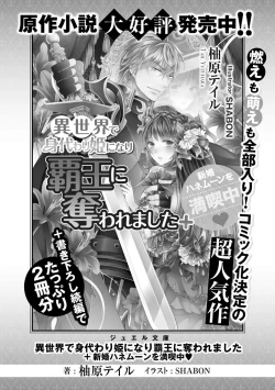 Page 212 of i sekai de migawari hime ni nari haō ni ubawa remashita ​| 在异世界成为了替身公主被霸王掳走了 1-6